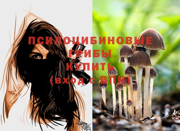 спиды Алексин